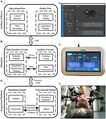 Development of a Non-invasive Deep Brain Stimulator With Precise Positioning and Real-Time Monitoring of Bioimpedance